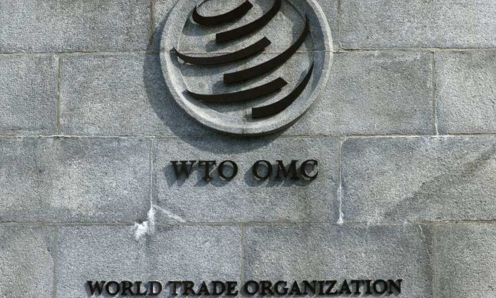 Factbox-What could the WTO ministerial conference achieve?